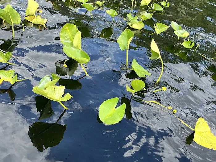 Camp La-No-Che Picture 9