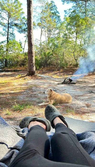 Lake Dorr Cabin Picture 9