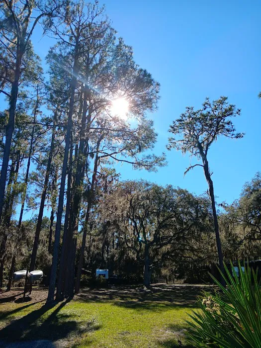 Lake Dorr Cabin Picture 3