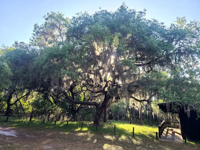 Lake Dorr Cabin Picture 7
