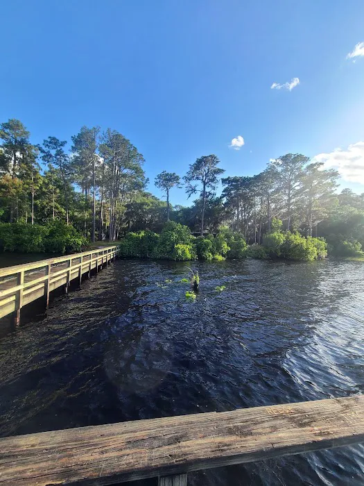 Lake Dorr Cabin Picture 8