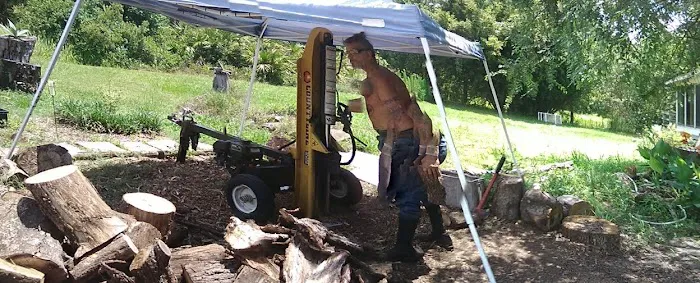 Cheap Firewood Picture 3