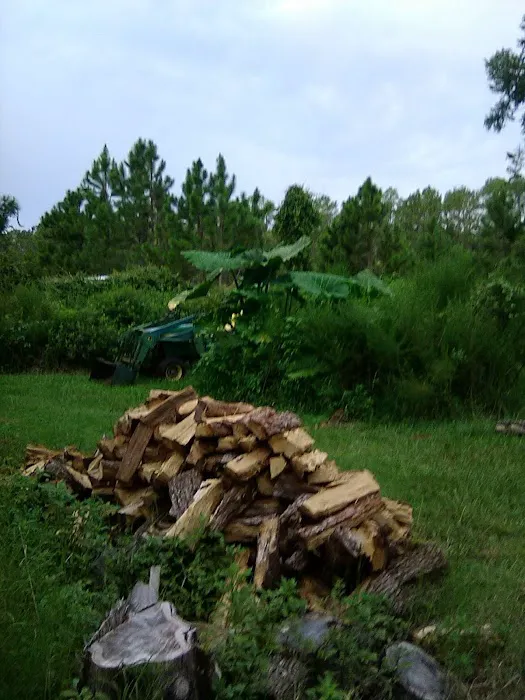 Cheap Firewood Picture 2