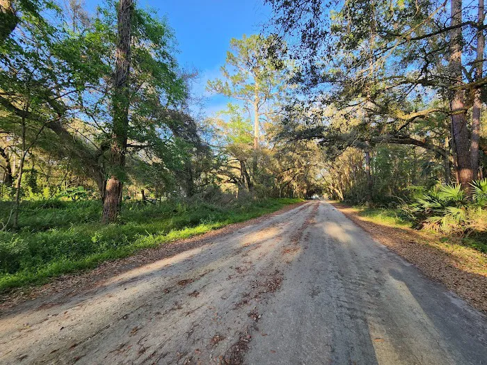 Lake Dorr Campground Picture 3