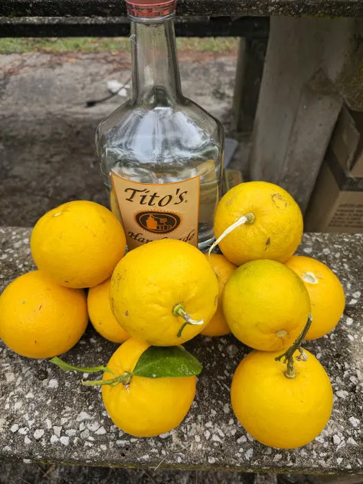 Lake Dorr Campground Picture 9