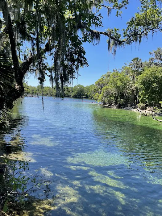Blue Spring State Park Campground Picture 4