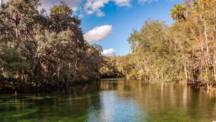Blue Spring State Park Campground Picture 8