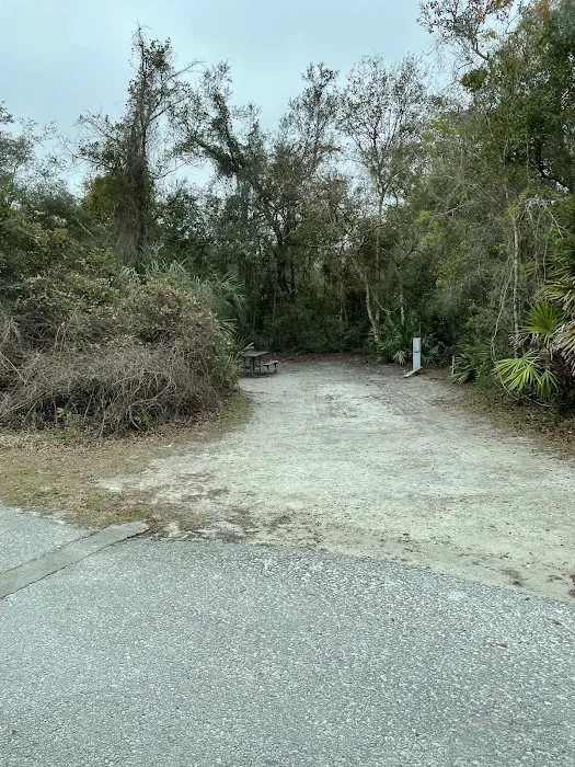 Blue Spring State Park Campground Picture 7