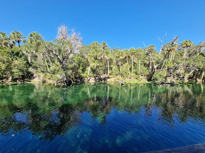 Blue Springs State Park Cabin Area Picture 1