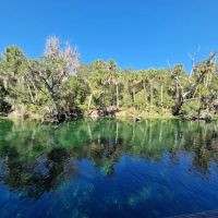 Blue Springs State Park Cabin Area ico