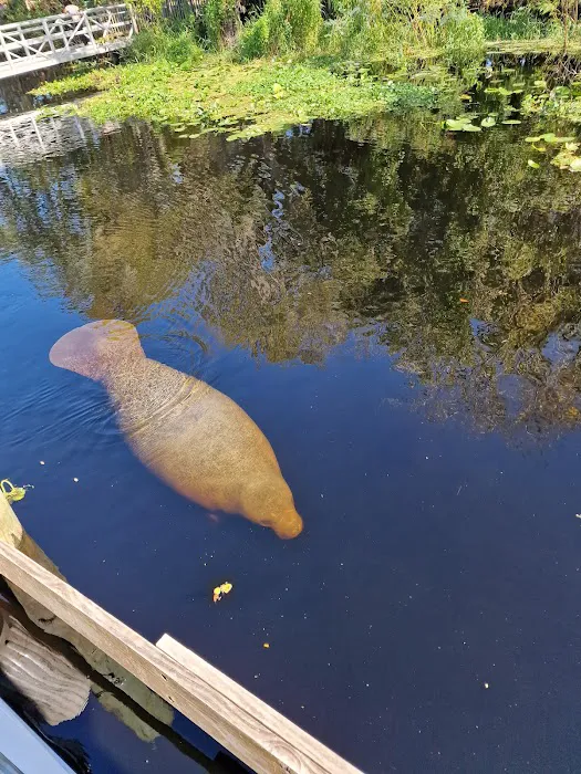 Blue Springs State Park Cabin Area Picture 3