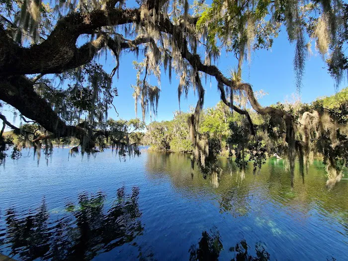 Blue Springs State Park Cabin Area Picture 4