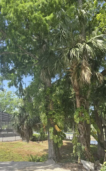 HIGHBANKS CAMPGROUND Picture 1