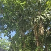 HIGHBANKS CAMPGROUND ico