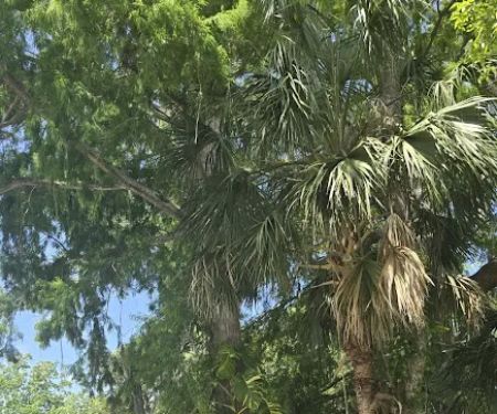 HIGHBANKS CAMPGROUND