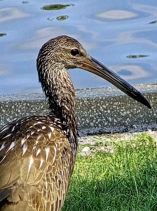 HIGHBANKS CAMPGROUND Picture 4