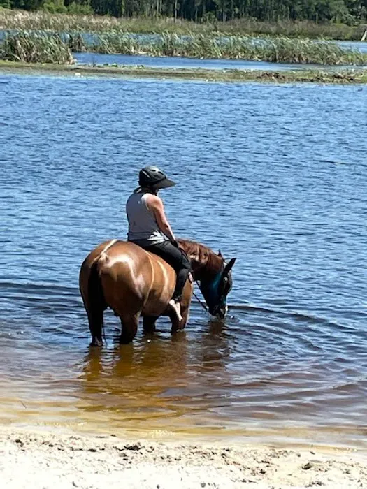 Seminole Wind Ranch Picture 5