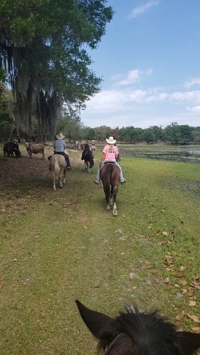 Seminole Wind Ranch Picture 9