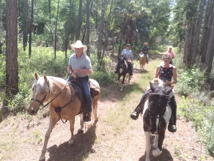 Seminole Wind Ranch Picture 8