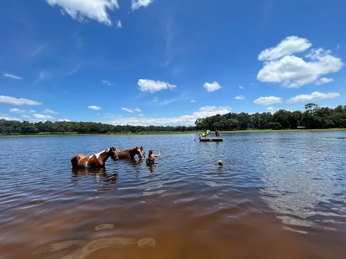 Seminole Wind Ranch Picture 1