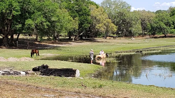 Seminole Wind Ranch Picture 7