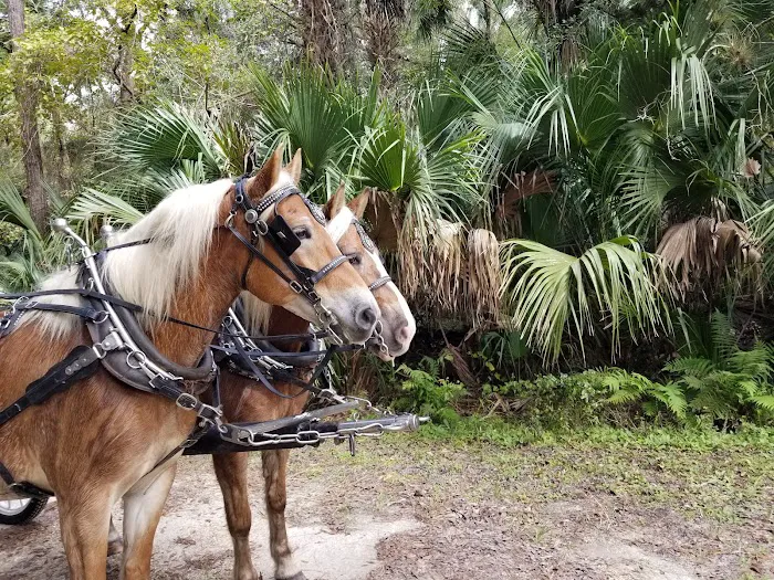 Seminole Wind Ranch Picture 10