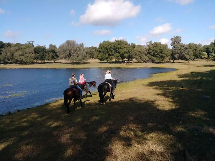 Seminole Wind Ranch Picture 4