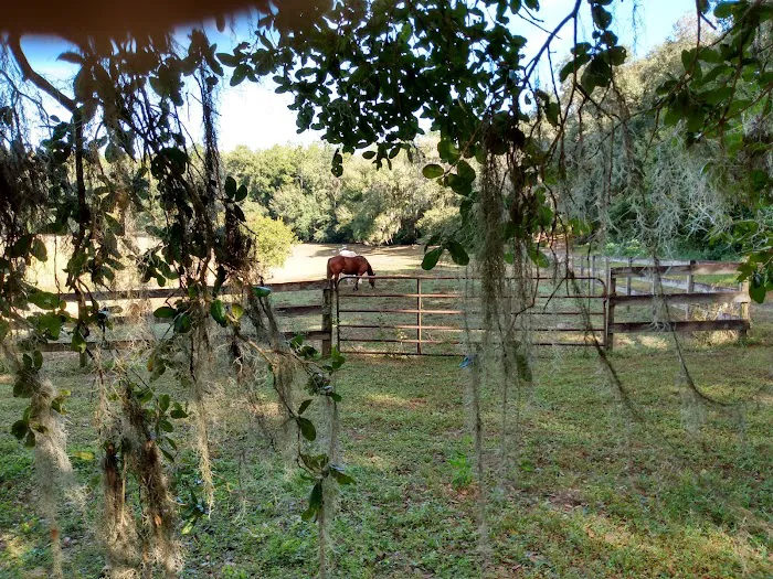 Fiddlers Green RV Ranch Picture 9