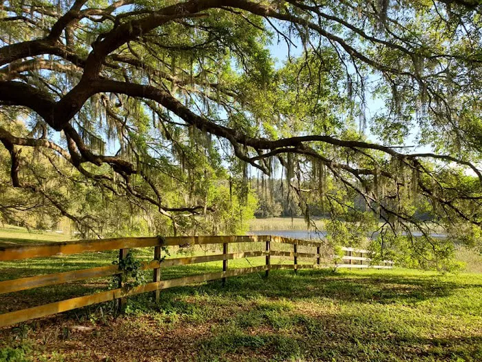 Fiddlers Green RV Ranch Picture 3