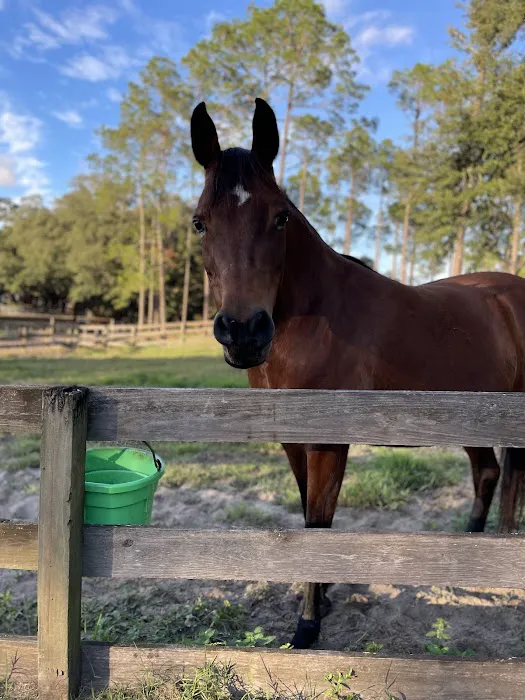 Fiddlers Green RV Ranch Picture 1