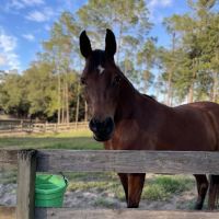 Fiddlers Green RV Ranch ico