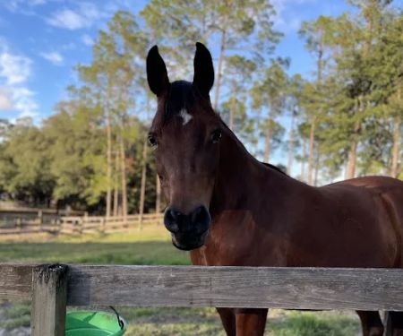 Fiddlers Green RV Ranch