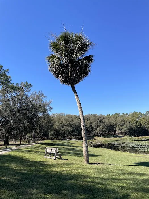 Fiddlers Green RV Ranch Picture 7