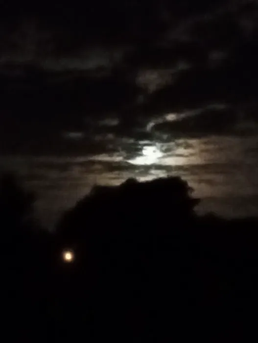 Sunnyhills Group Campsite Picture 1