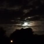 Sunnyhills Group Campsite