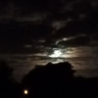 Sunnyhills Group Campsite ico