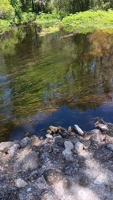 Lake Panasoffkee Picture 5