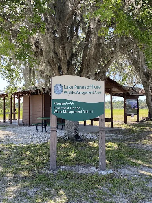 Lake Panasoffkee Picture 8
