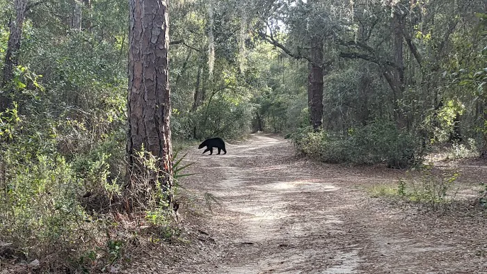 Lake Mary (recgovnpsdata) Picture 8