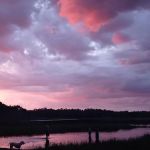 Lake Mary (recgovnpsdata)