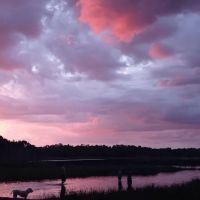 Lake Mary (recgovnpsdata) ico