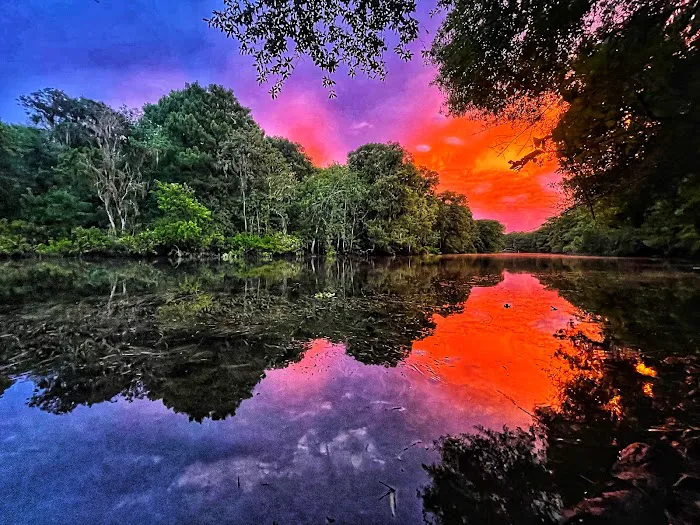 Potts Preserve Campground Picture 5