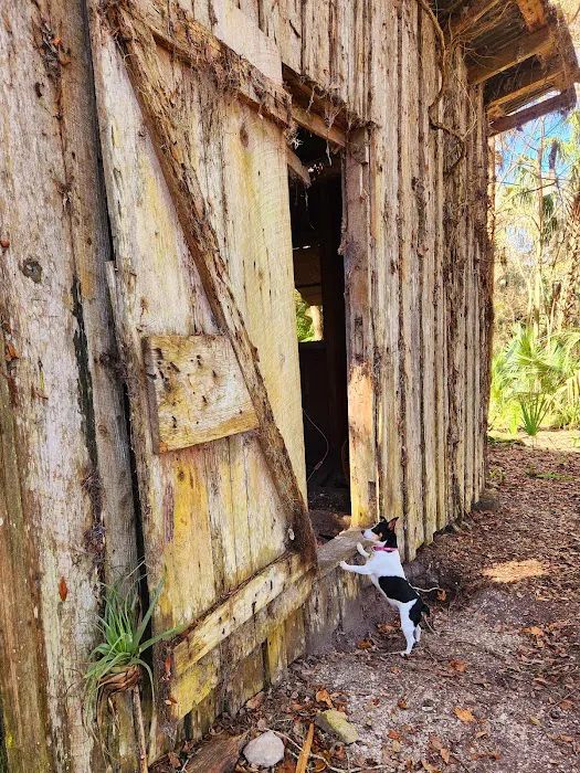 Potts Preserve Campground Picture 4