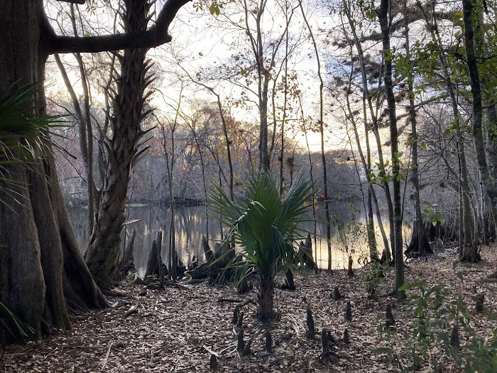 Potts Preserve Campground Picture 6