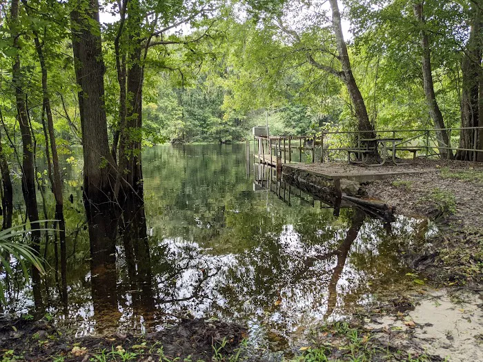 Potts Preserve Campground Picture 7