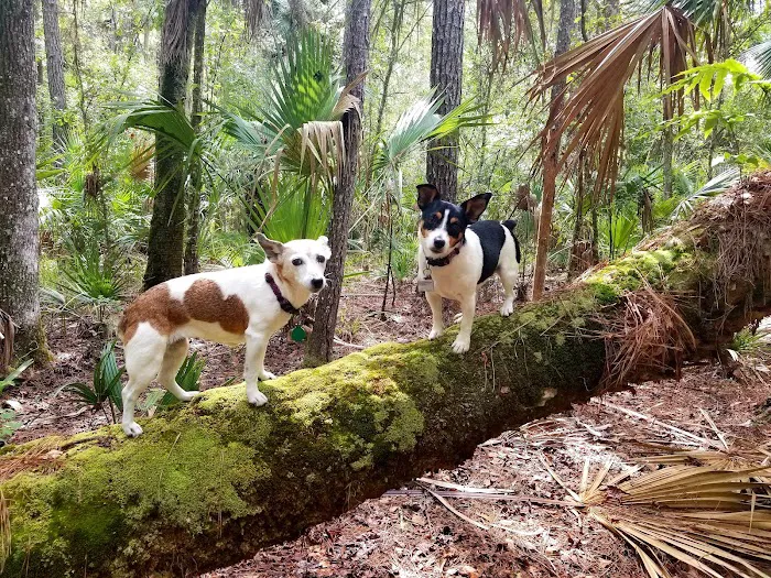 Potts Preserve Campground Picture 1