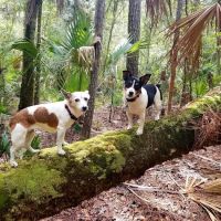 Potts Preserve Campground ico