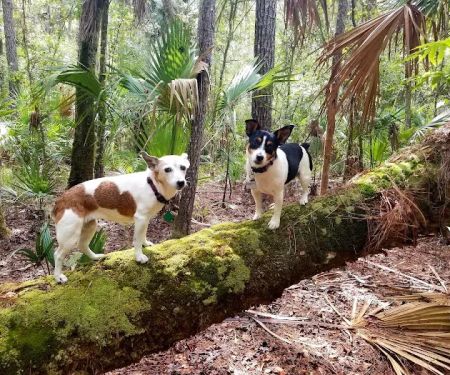 Potts Preserve Campground