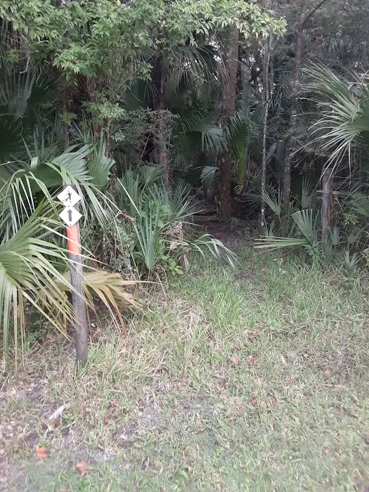 Potts Preserve Campground Picture 10