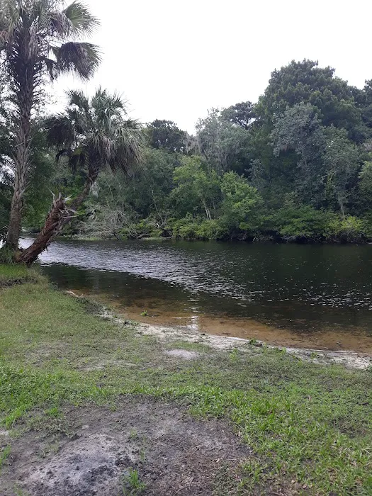 Potts Preserve Campground Picture 8